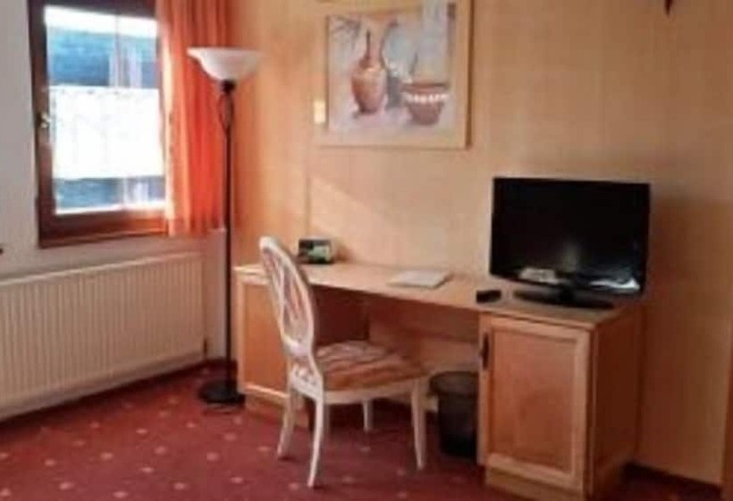 １ベッドルームベーシックアパートメント, Birkenhof Garni