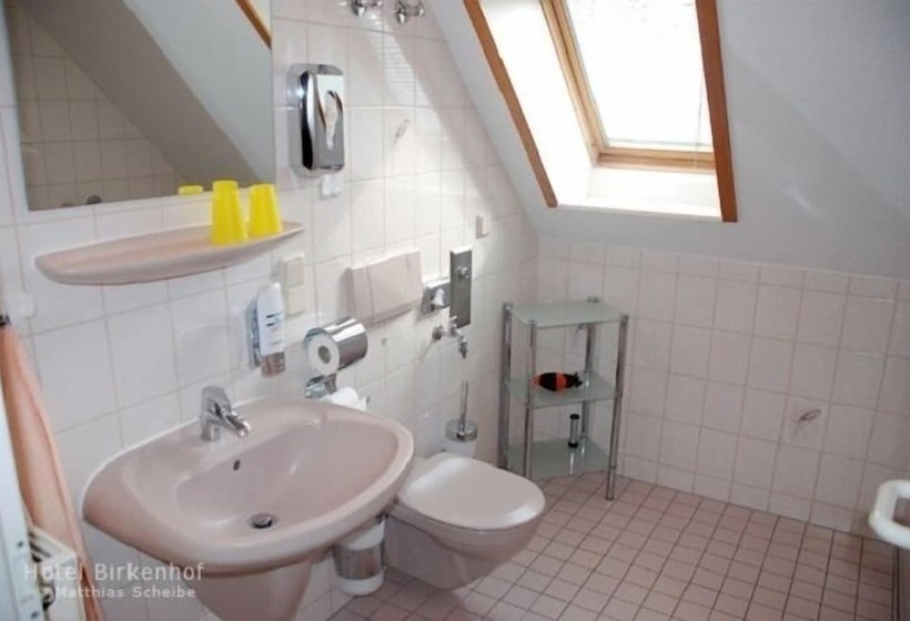 １ベッドルームアパートメント, Birkenhof Garni