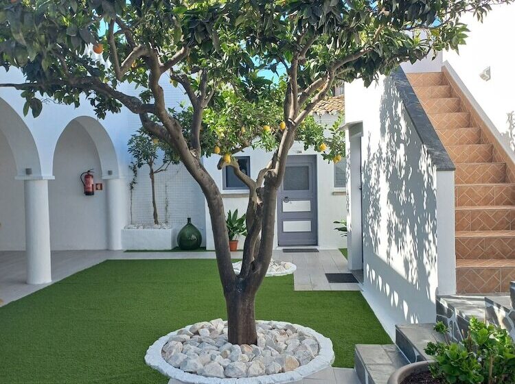 اتاق استاندارد, Casa Dona Antonia   Monsaraz