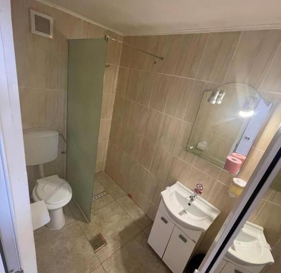 חדר סטנדרט לשלושה, Casa Yachi Vama Veche