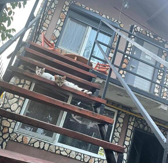 Стандартный Номер Кровать Кинг, Casa Yachi Vama Veche