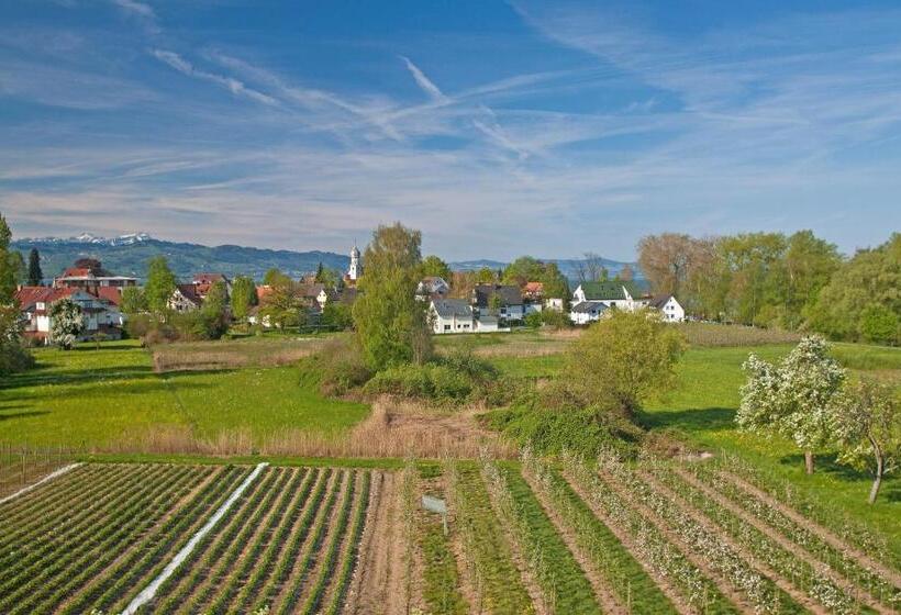 Номер Стандарт с Балконом, Restaurant Walserhof