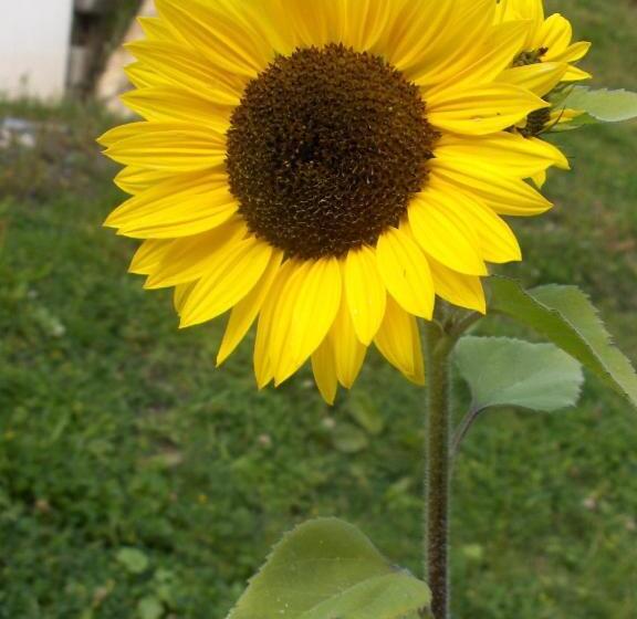 침실 1개 아파트, Villa Otto