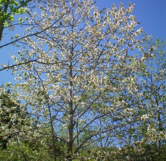 침실 2개 아파트, Villa Otto