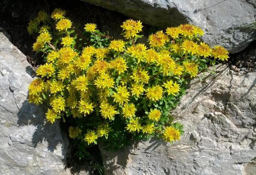 침실 2개 아파트, Villa Otto