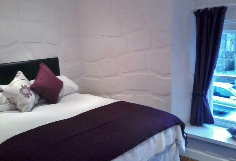 스탠다드 룸, Finn Maccools Public House & Guest Inn