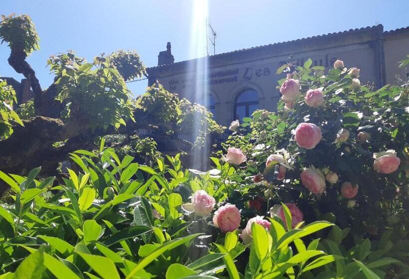 带1个卧室的顶楼公寓, Appart'hôtel Les Tilleuls