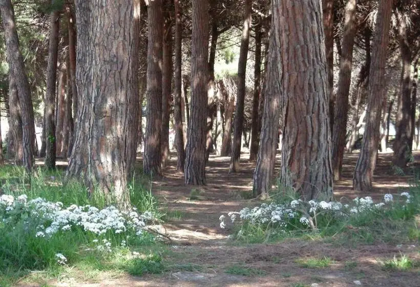 اتاق سوپریور خانوادگی, Pier Delle Vigne B&b