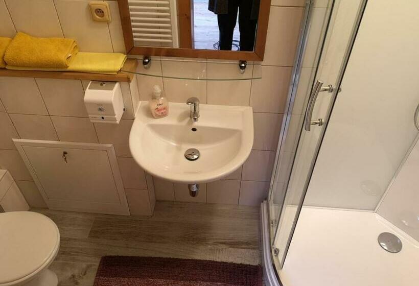 חדר סטנדרט, Penzion Ranc U Trapera