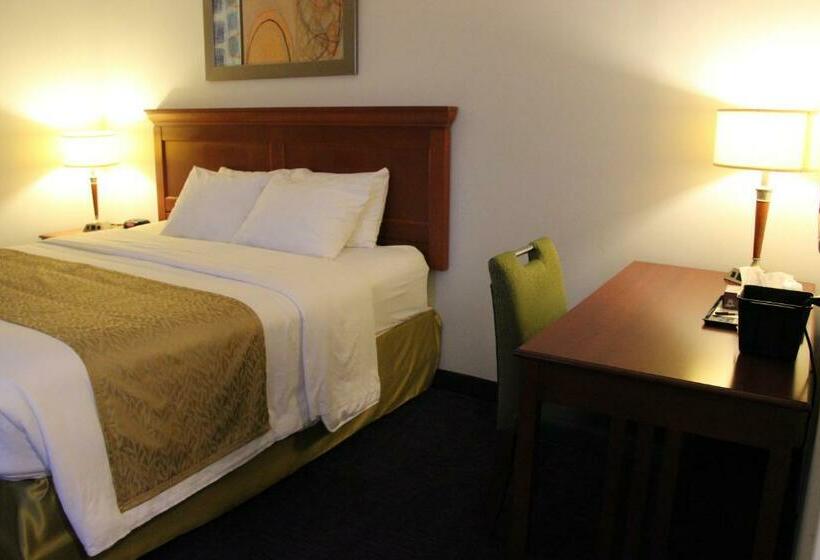 غرفة قياسية سرير كينج, Le Voyageur Inn