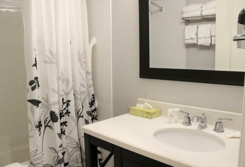 غرفة قياسية سرير كينج, Le Voyageur Inn