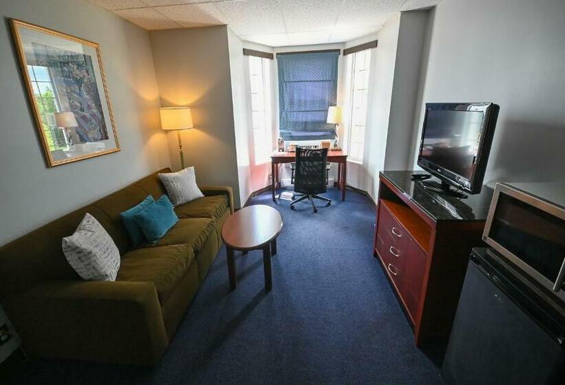 غرفة قياسية سرير كينج, Le Voyageur Inn