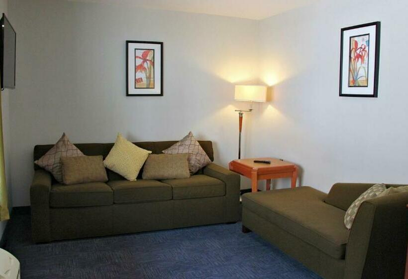 غرفة قياسية سرير كينج, Le Voyageur Inn