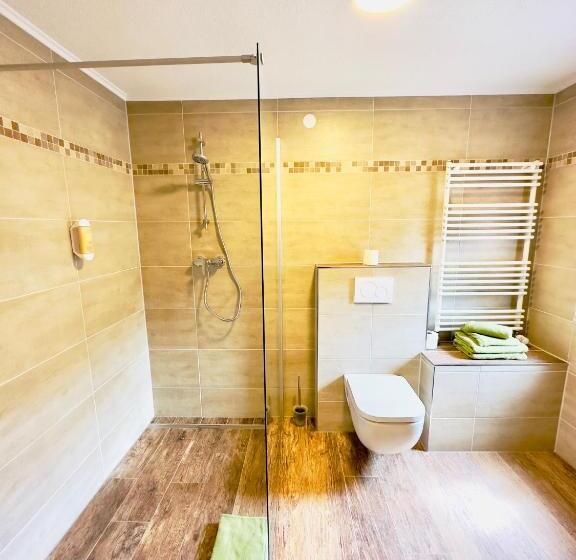 Quarto Economy, Europa Pension Zum Grünen Baum