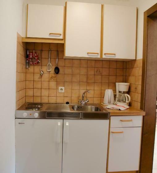 חדר סטודיו סטנדרד, Scheibenhof