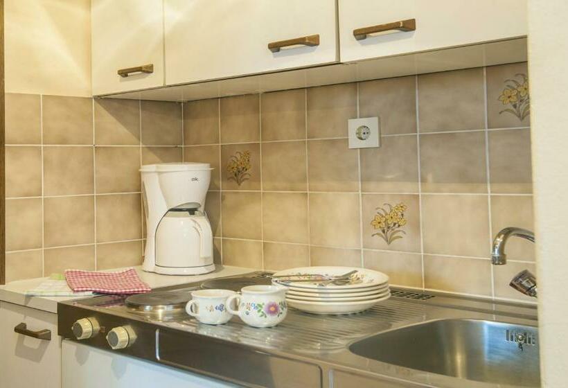 חדר סטודיו סטנדרד, Scheibenhof