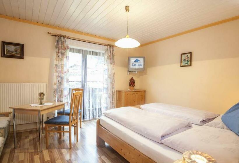 חדר סטודיו סטנדרד, Scheibenhof