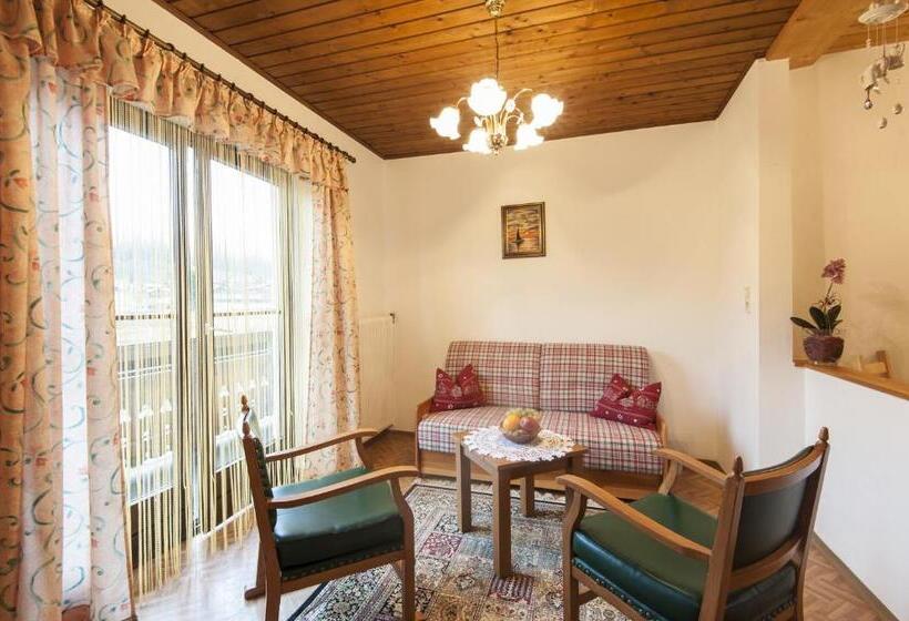 דירת חדר, Scheibenhof