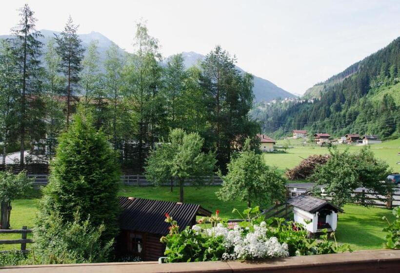 דירת חדר, Scheibenhof