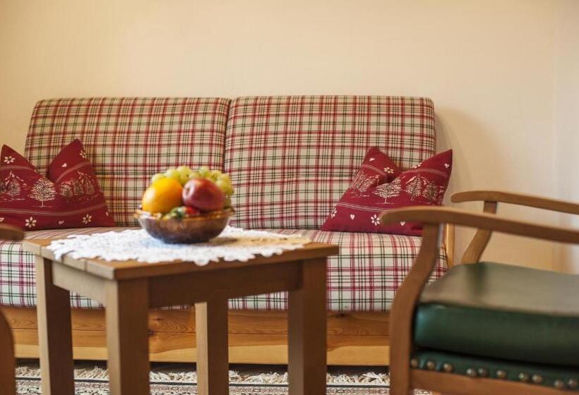 דירת חדר, Scheibenhof