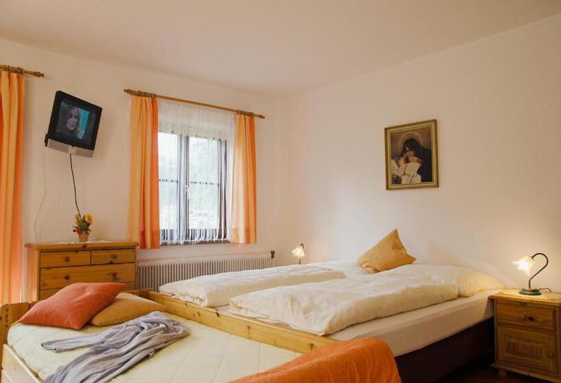 חדר סטודיו סטנדרד, Scheibenhof