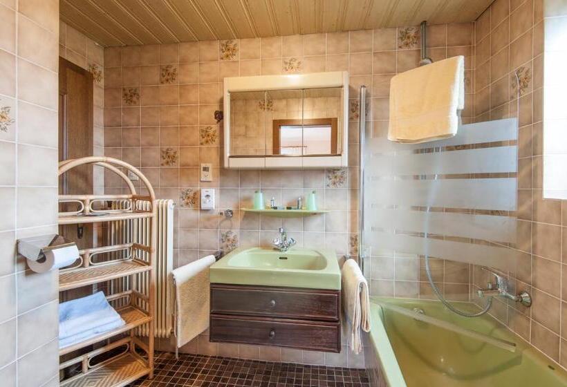 דירת חדר, Scheibenhof