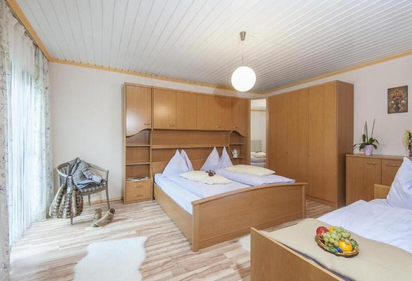 דירת חדר, Scheibenhof