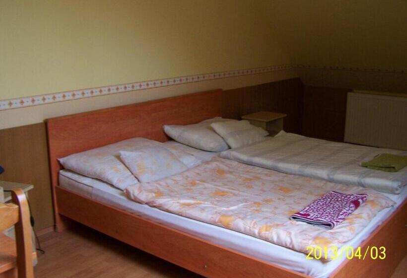 غرفة قياسية, Borostyánkert étterem & Vendégház