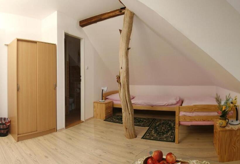 Номер Стандарт, Penzion U Haničky