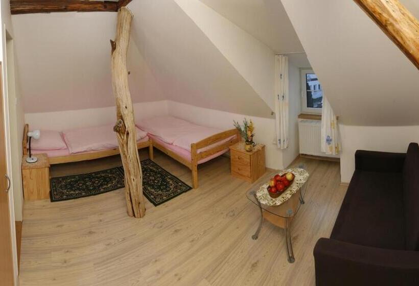 Номер Стандарт, Penzion U Haničky