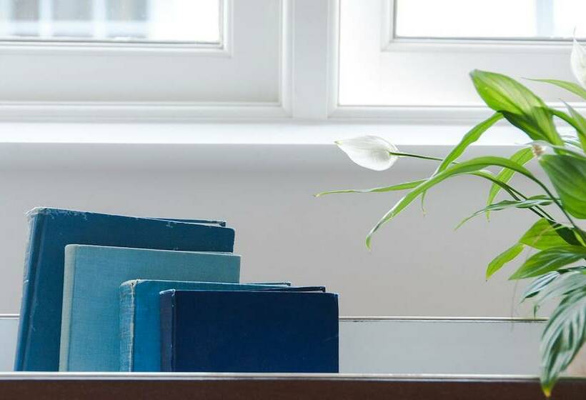 חדר סופריור, Trevose Harbour House