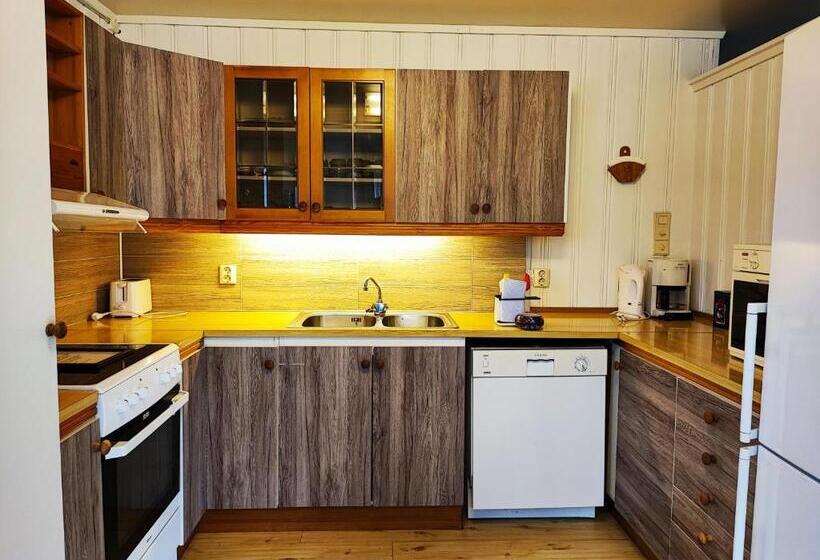 海の見える３ベッドルームアパートメント, Visit Undredal