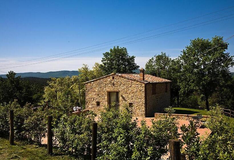 דירת שני חדרים, Casa Verniano