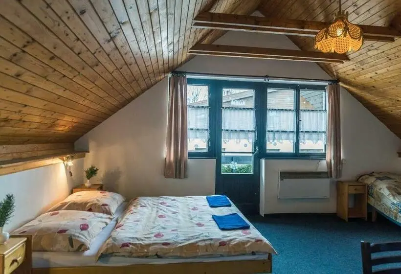スタンダード４人部屋, Penzion Familia Antol