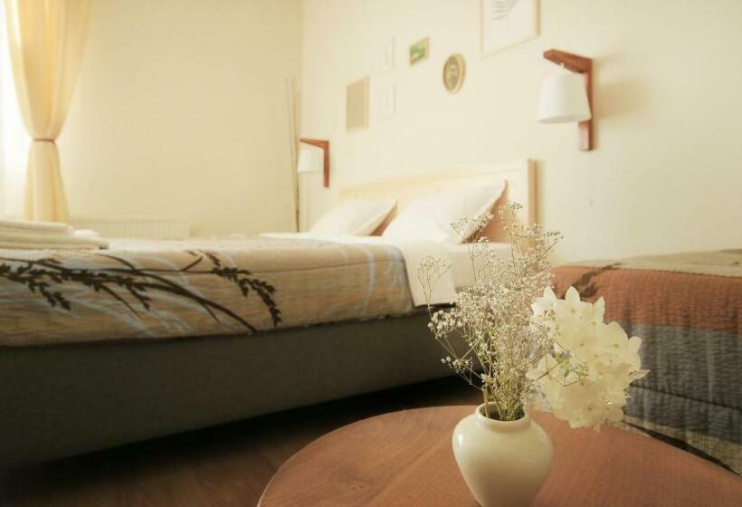 اتاق استاندارد با بالکن, Vila Dunavski Raj