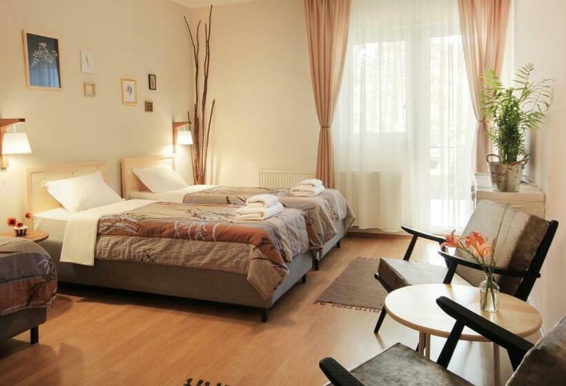 اتاق استاندارد با بالکن, Vila Dunavski Raj