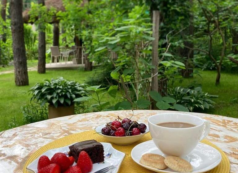 اتاق استاندارد با بالکن, Vila Dunavski Raj