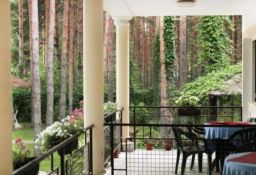 اتاق استاندارد با بالکن, Vila Dunavski Raj