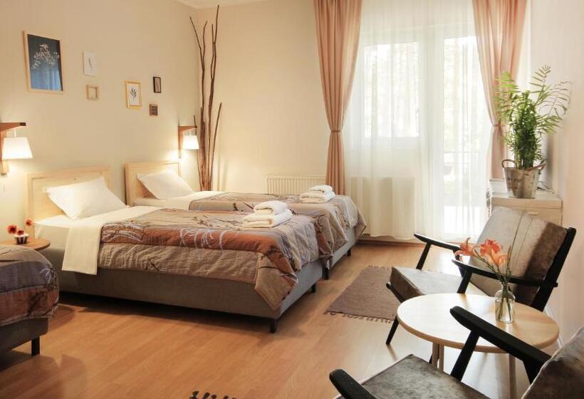 اتاق استاندارد سه تخته با بالکن, Vila Dunavski Raj