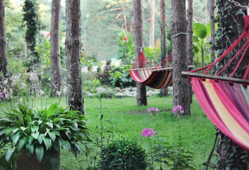 اتاق خانوادگی, Vila Dunavski Raj