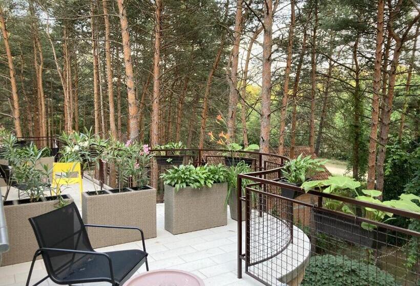 اتاق سوپریور, Vila Dunavski Raj