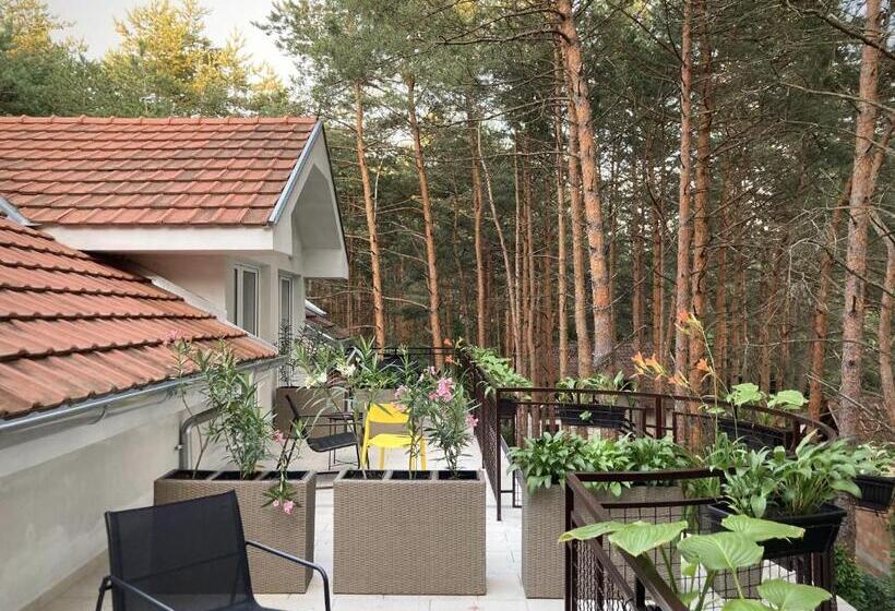 اتاق سوپریور, Vila Dunavski Raj