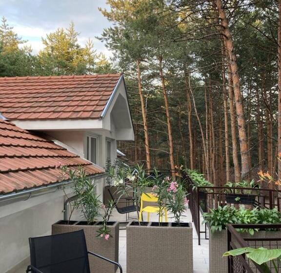 اتاق سوپریور, Vila Dunavski Raj