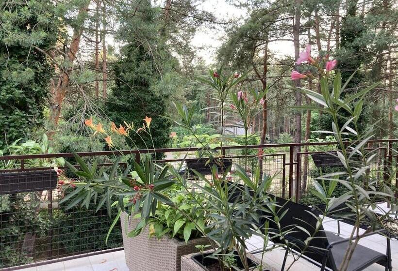 اتاق سوپریور سه تخته, Vila Dunavski Raj