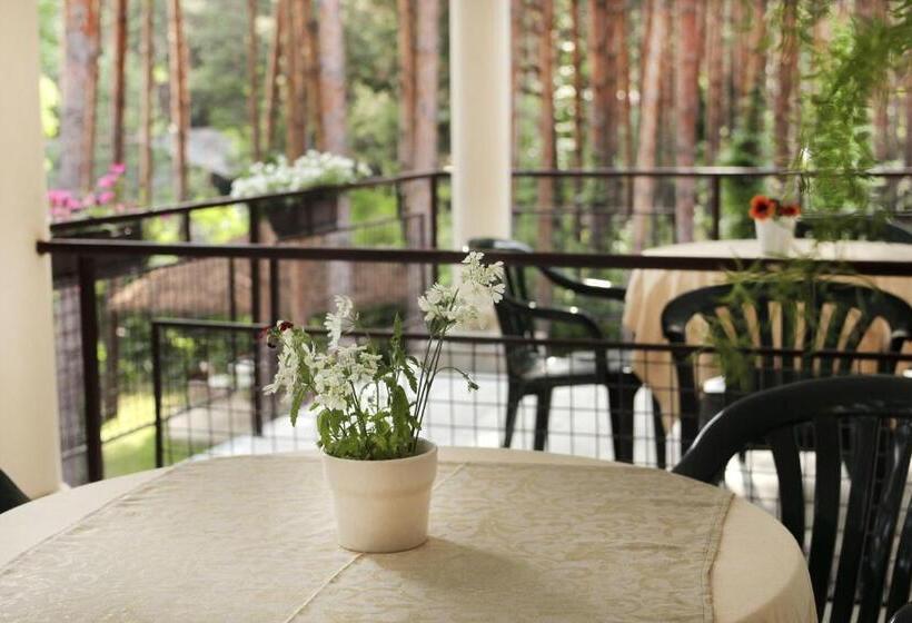 اتاق خانوادگی, Vila Dunavski Raj