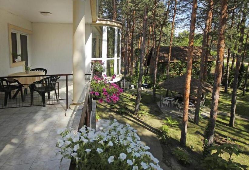 اتاق خانوادگی, Vila Dunavski Raj