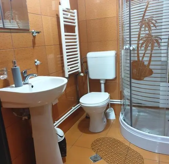 Standard room with outdoor bath, Pensiunea Antonia