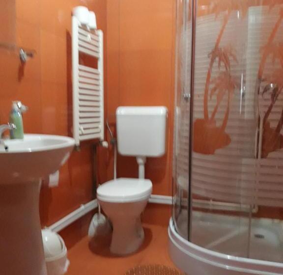 带2个卧室的公寓, Pensiunea Antonia