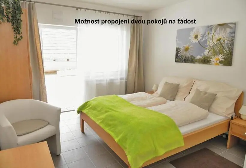 スタンダードルーム, Penzion A Restaurace Pintovka