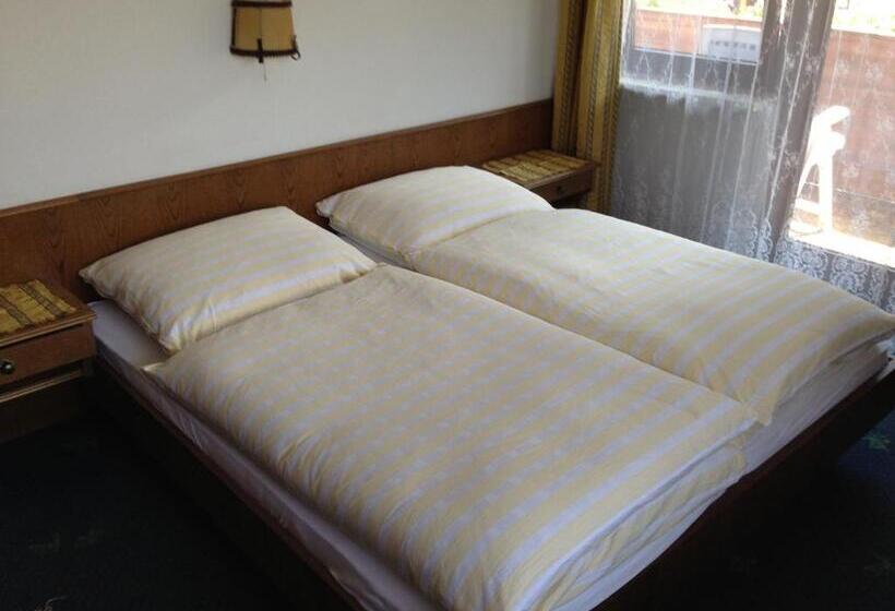 اتاق استاندارد با بالکن, Haus Tenk